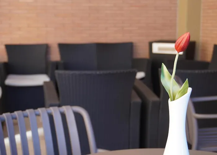 Otel Oasi San Francesco 3*